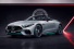 AMG-Sondermodell: Mercedes AMG SL 63  „Motorsport Collectors Edition“: Dressed to impress